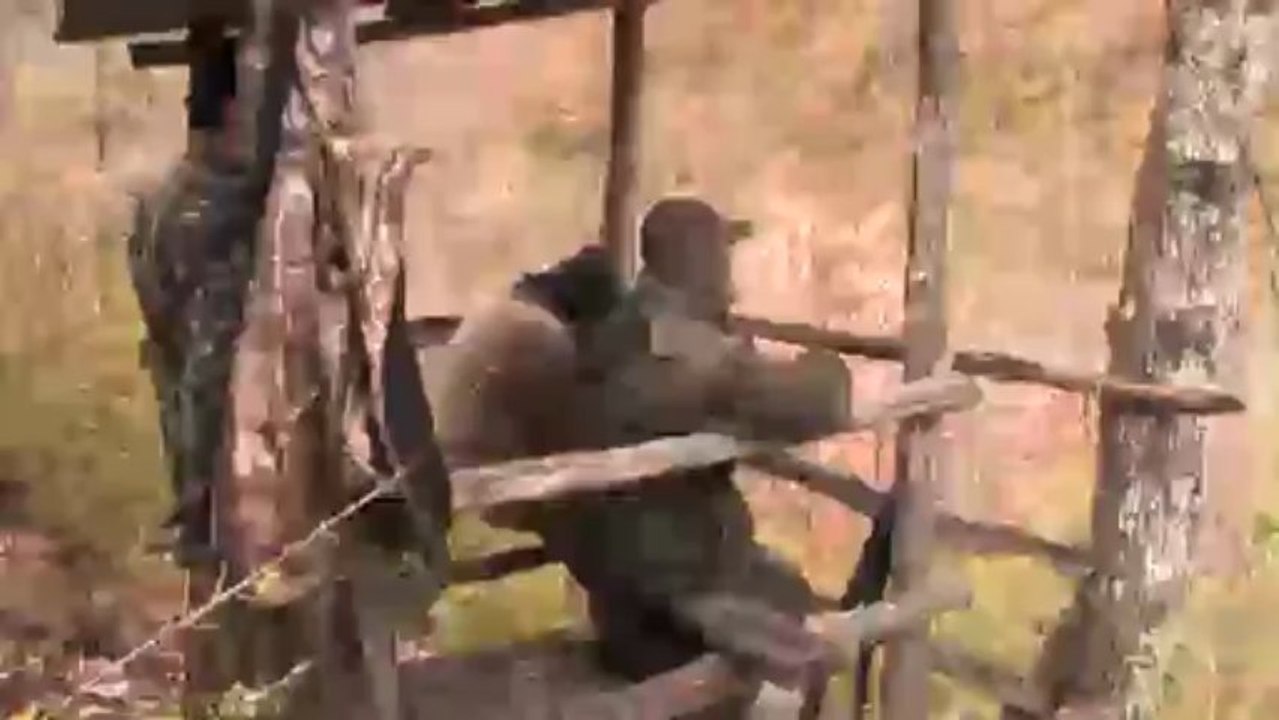 Boar Driven Hunt - Macedonia 2013, Part 2