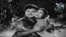 Gemini Ganesan | Savithri | Radha - Hello Mister Zamindar Hd Movie Part 06