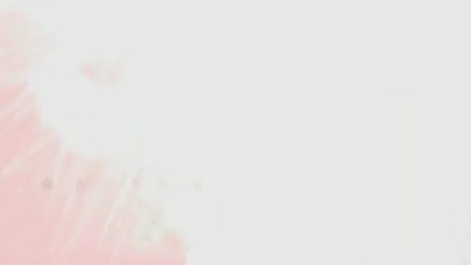 GEEKOPOLIS "le casting" Han solo