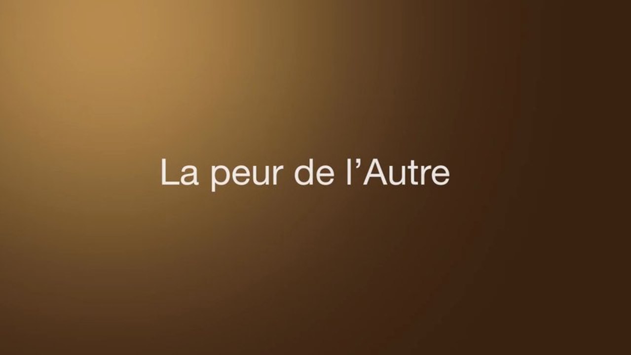 Denis Muzet - Question 2 - La peur de l'autre