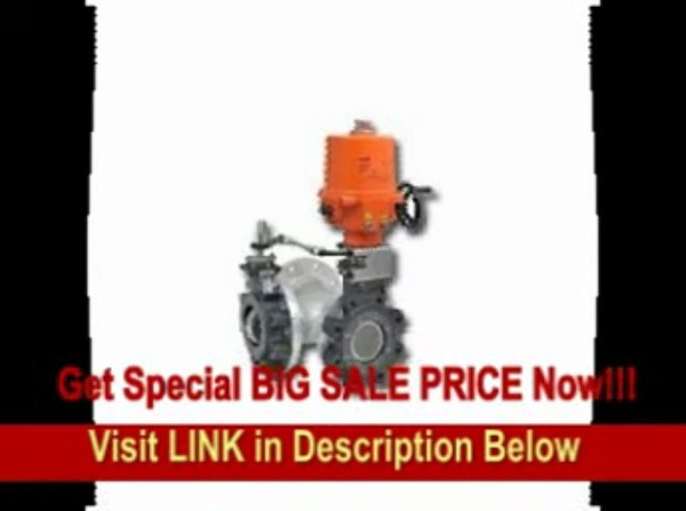 [FOR SALE] Butterfly Valve