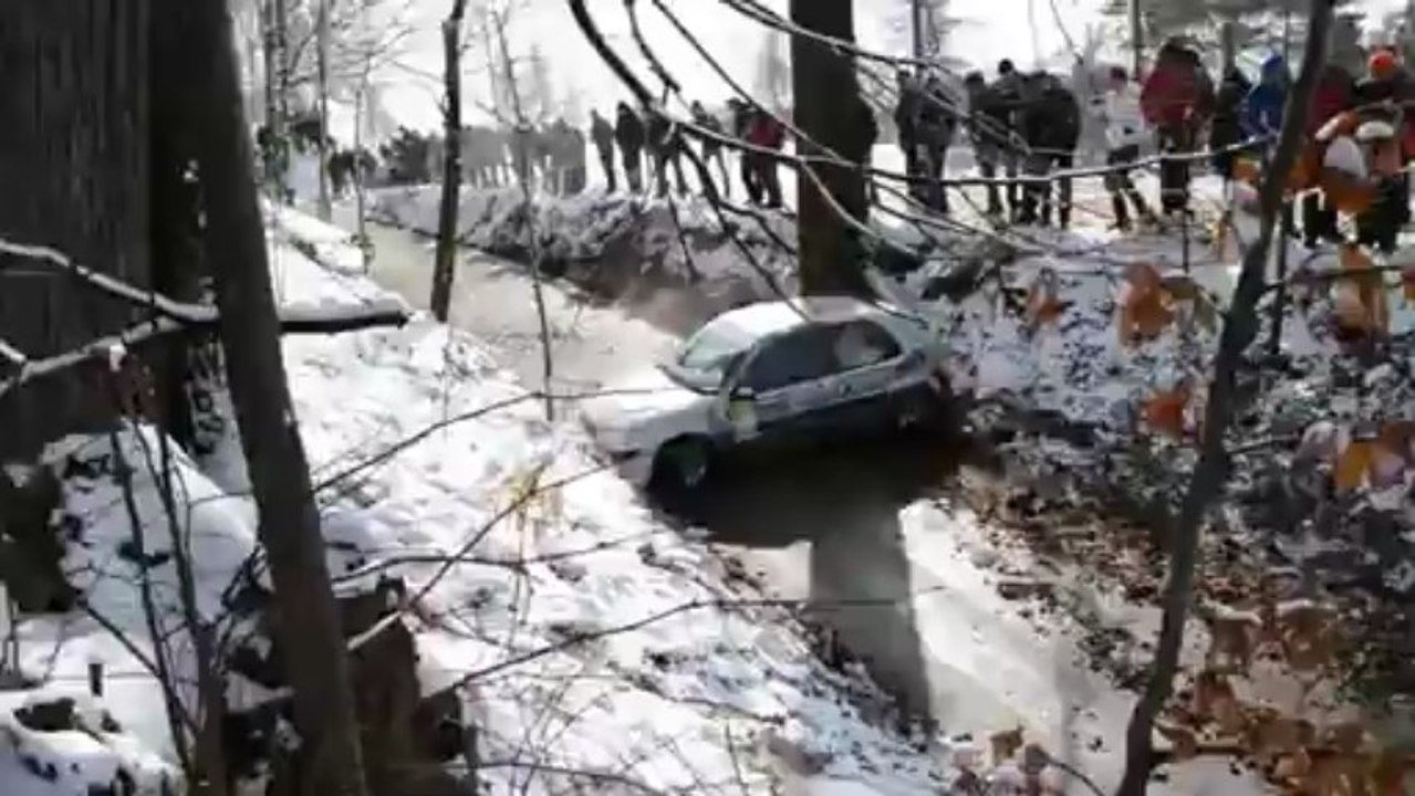Rally Driver...
