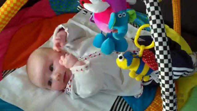 0313 ClaireElephant 300313