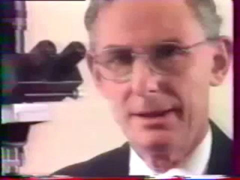 Théorie de l'évolution anéantie par la Biologie moléculaire