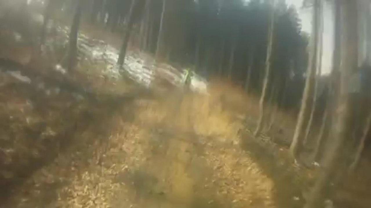 La Hallonienne (Grand-Halleux)