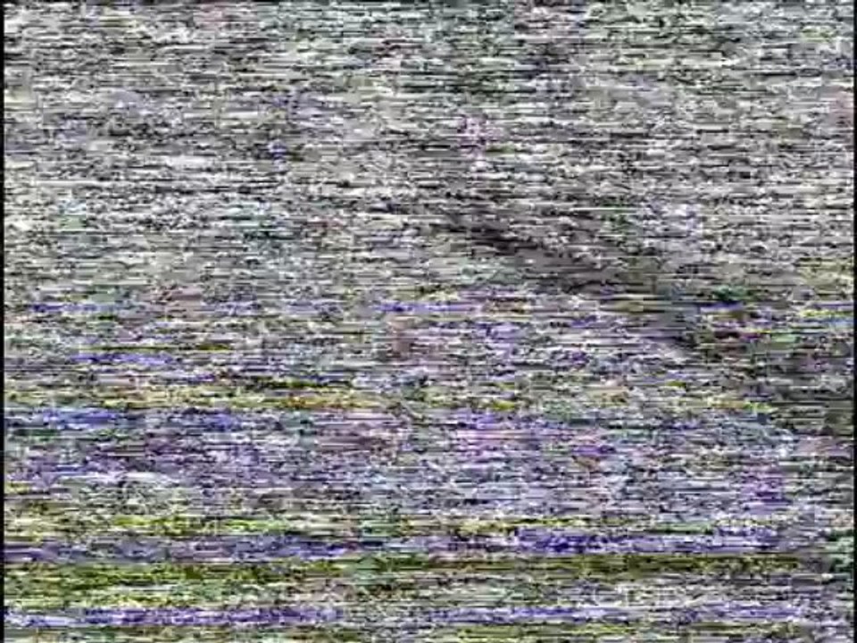 MTK HUNGARIA-AEK 2-1 UEFA 1999-00