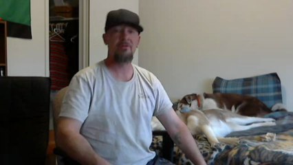 Wake up at work! Free, No risk Work From Home system - I.P.N.