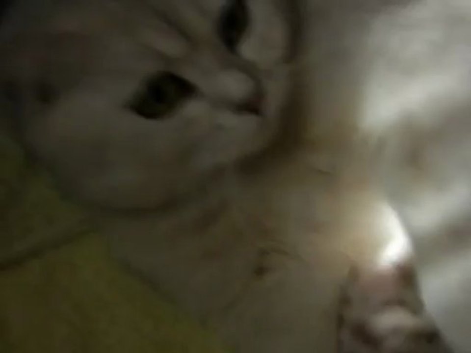 Les BB de Heidi ont 20 jours!