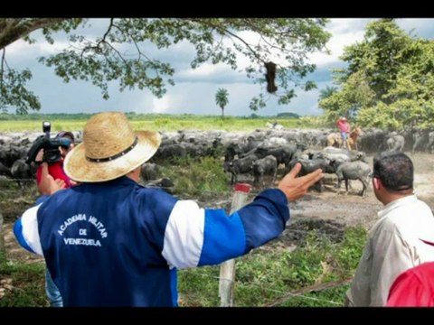 Chavez_INDEPENDANCE NATIONALE_500 milliards de dollars Investis dans le Social en 13 ans !