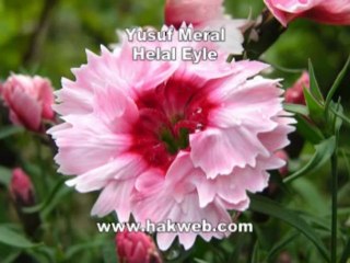 Yusuf Meral - Helal Eyle