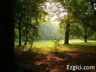 Yusuf Meral - Vuslatsız Sevda