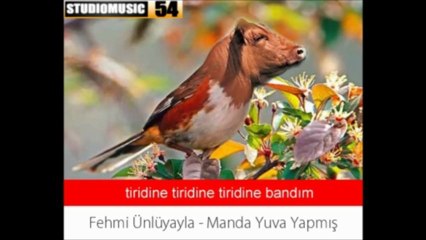 Manda Yuva Yapmış (Fehmi Ünlüyayla) B&T