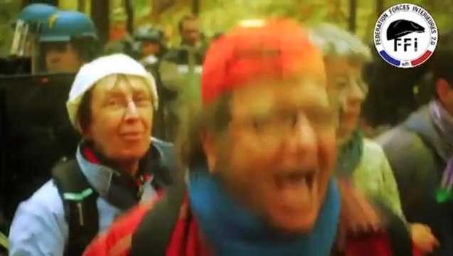 Démantèlement de la République Française en Alsace_La bataille de l'est - Première partie FFI 2.0_La Marche Irresistible du Nouvel Ordre Mondial