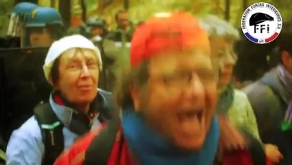 Démantèlement de la République Française en Alsace_La bataille de l'est - Première partie FFI 2.0_La Marche Irresistible du Nouvel Ordre Mondial