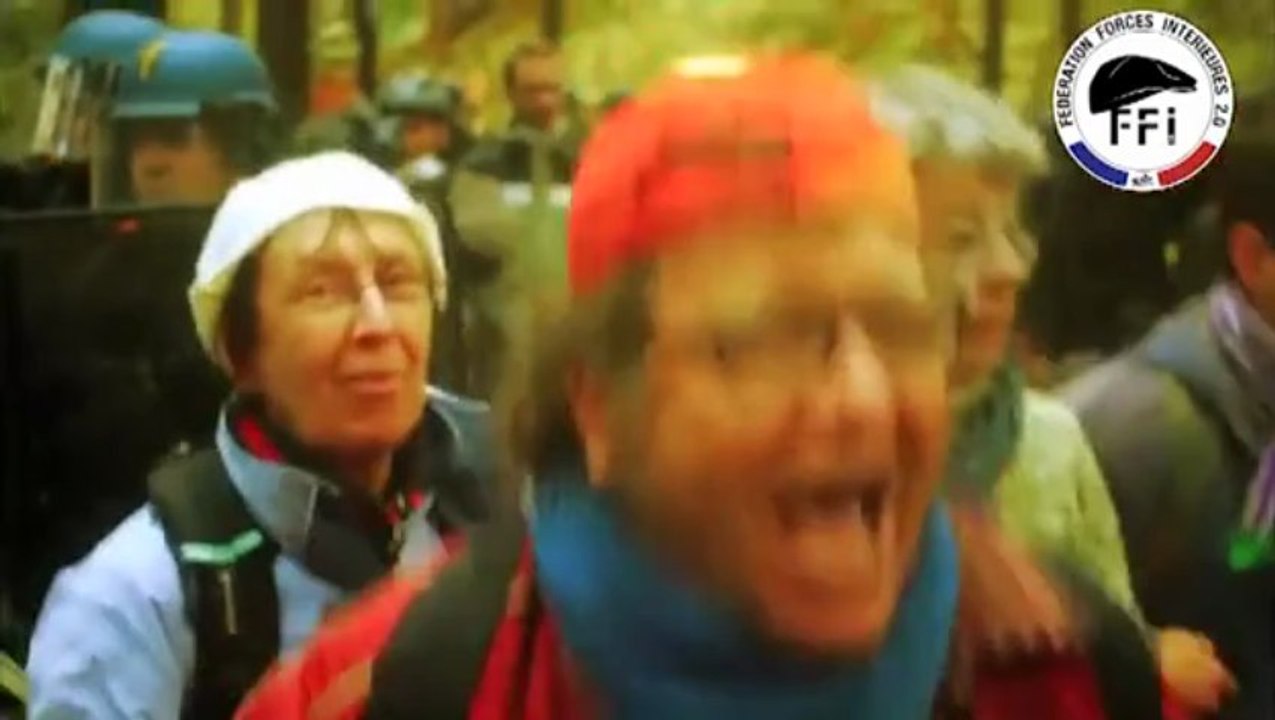 Démantèlement de la République Française en Alsace_La bataille de l'est - Première partie FFI 2.0_La Marche Irresistible du Nouvel Ordre Mondial