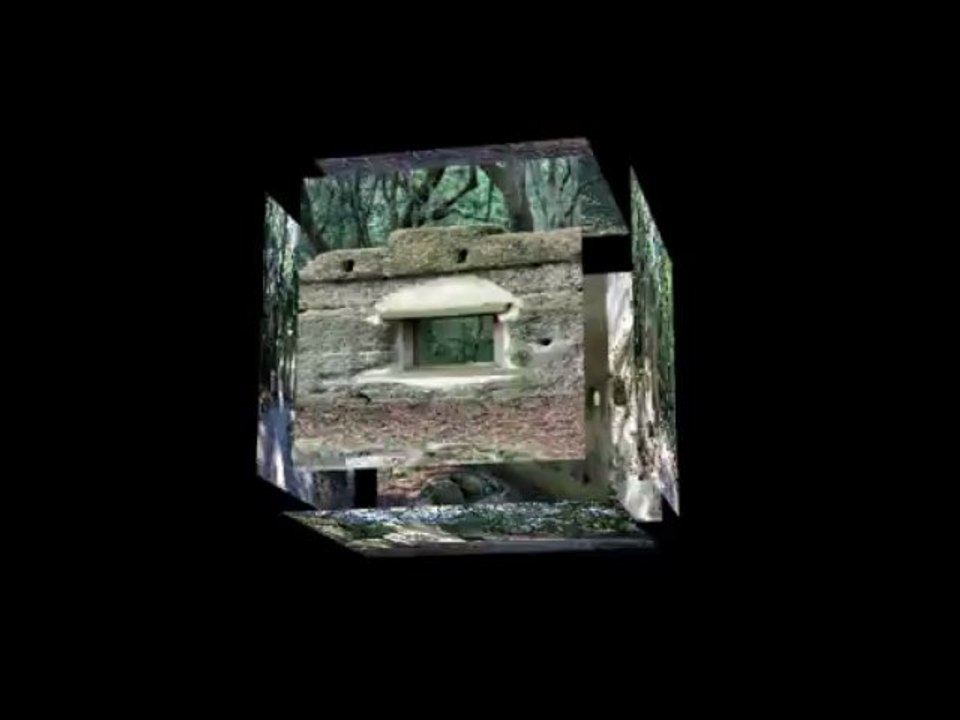 Rich Cocovich of Global Star Capital Tour of Baynard Ruins