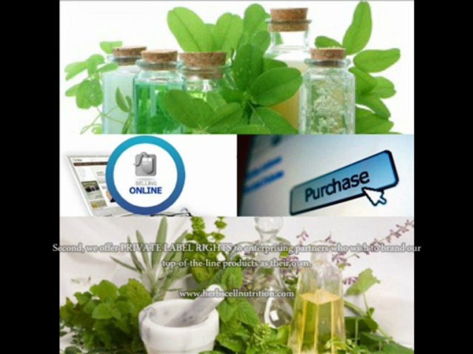 Online Herbal Store India?