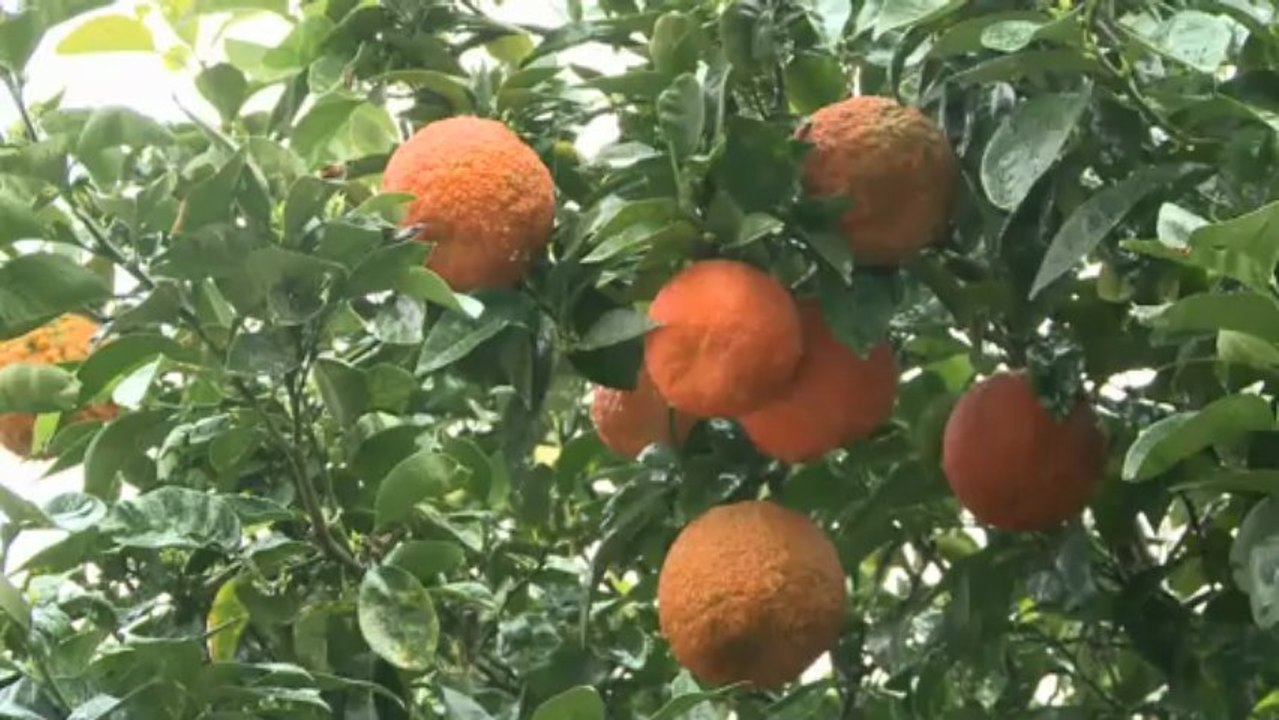 Tunesiens Tourismus am Boden