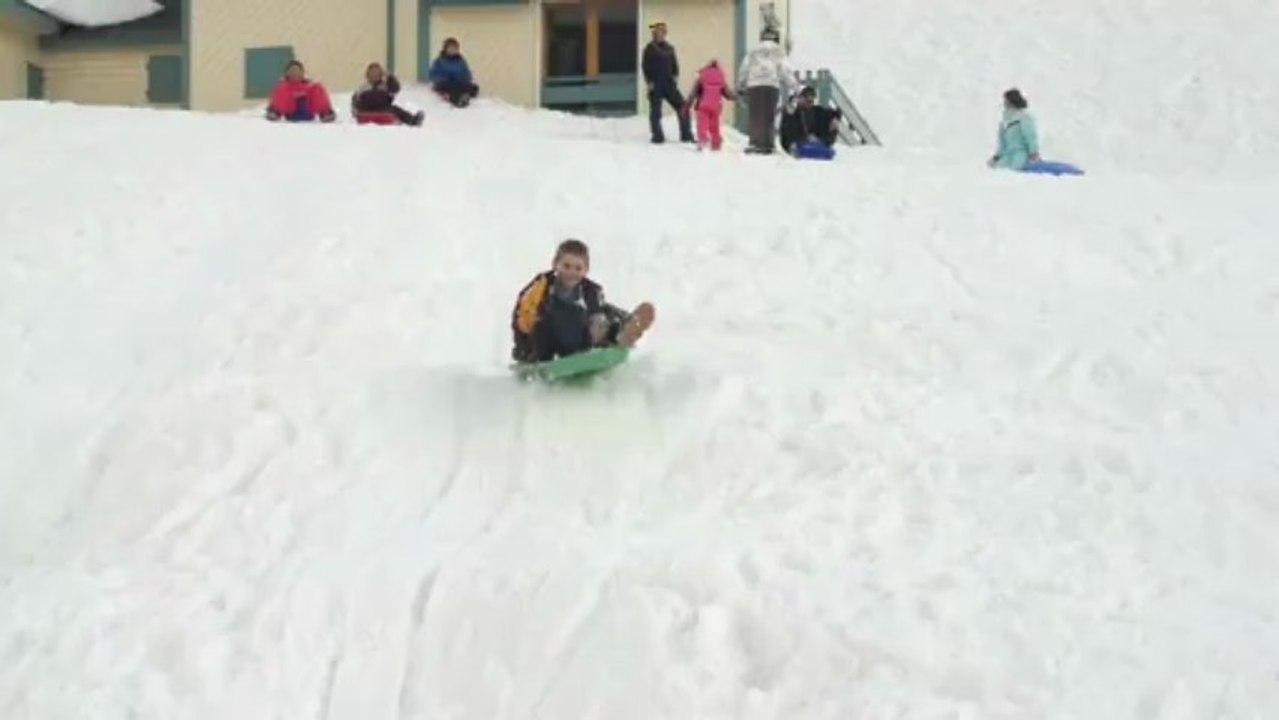 Teddy Luge 2013