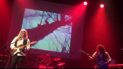 "foxy lady" par Princesse de Nuit (tribute Hendrix)