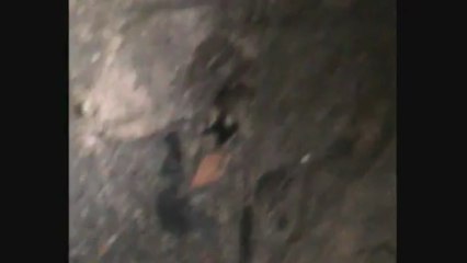 film guerre us, allemand, francais reste de cantine_0001