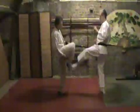 (mae-ashi) mae geri : sokutei osae uke