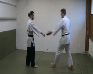 Tai no henko : ki no nagare (nidan)