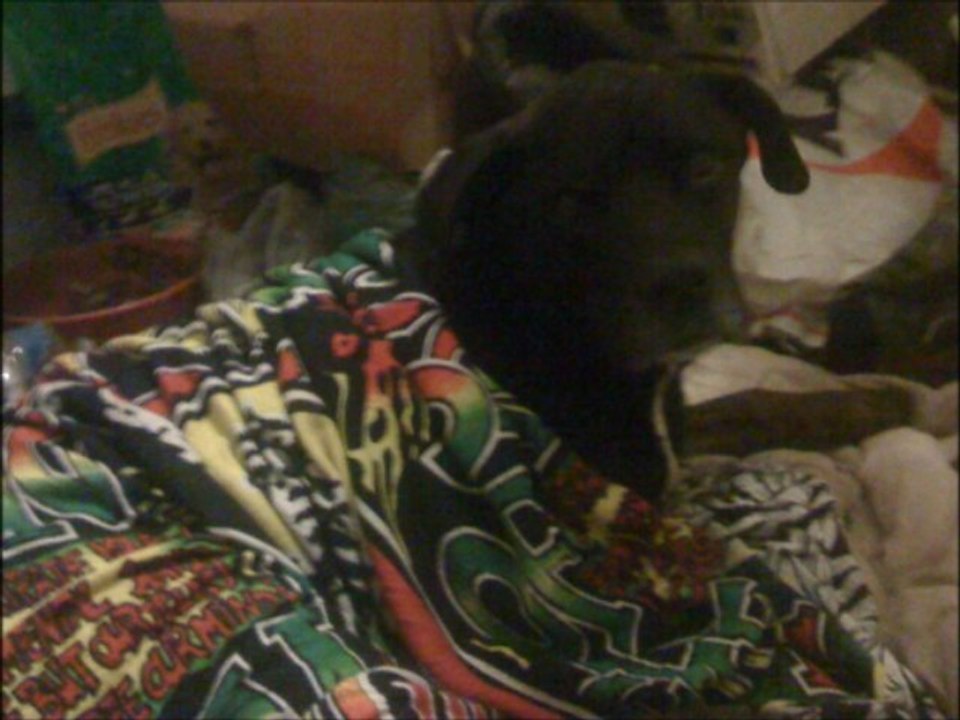 Steady as a rock - VA