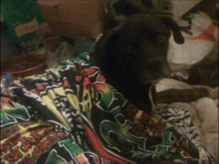 Steady as a rock - VA