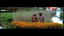 Cheppalani Vundi Songs - Ko Ko Ko - Raasi - Naveen