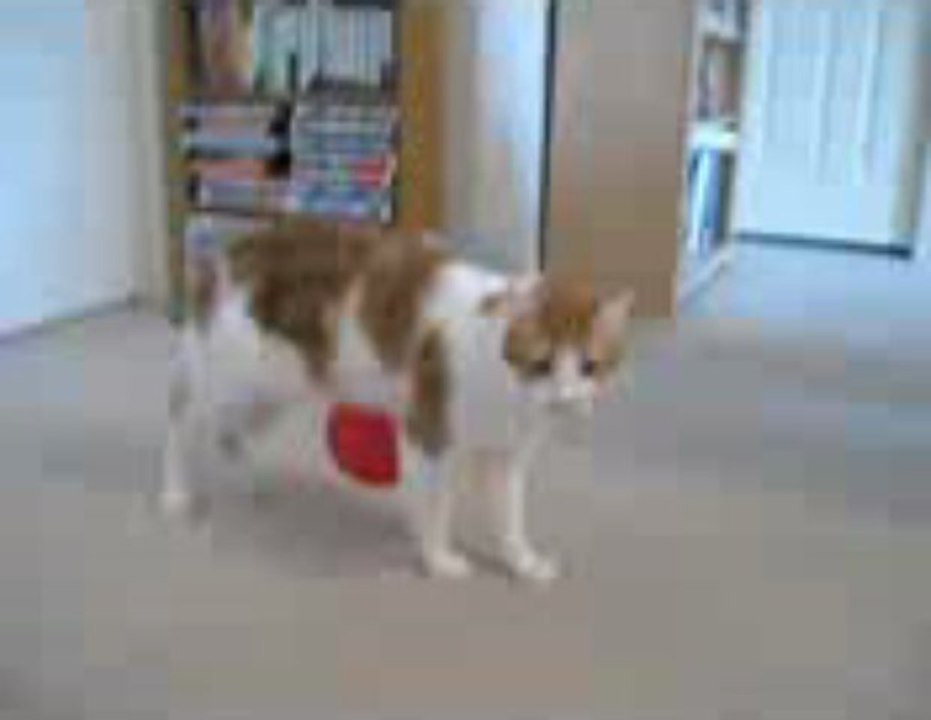 로얄바카라 ✬✭✮	QCH138.COM ✬✭✮	 투게더카지노