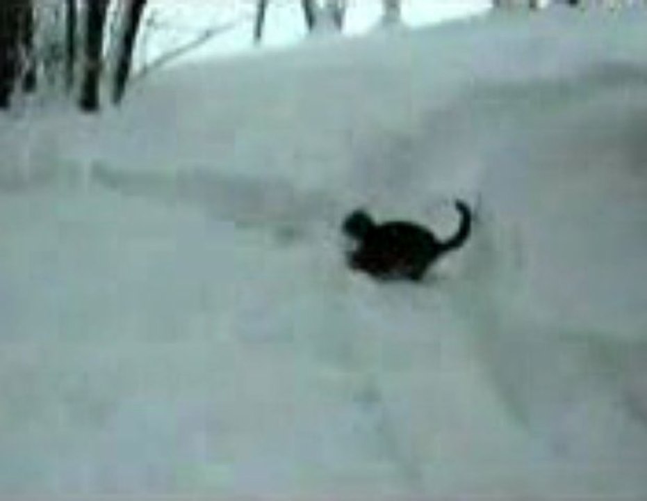 센토사카지노 ✬✭✮	QCH138.COM ✬✭✮	 세부카지노