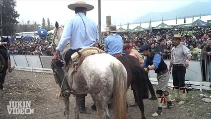 Horse Bucks Rider Off And Dashes Through Crowd!