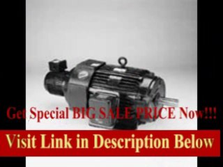 [BEST BUY] Marathon Y578 Inverter Duty Motor