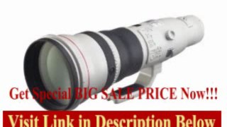 [REVIEW] Canon EF 800mm f/5.6L IS USM Super Telephoto Lens for Canon Digital SLR Cameras
