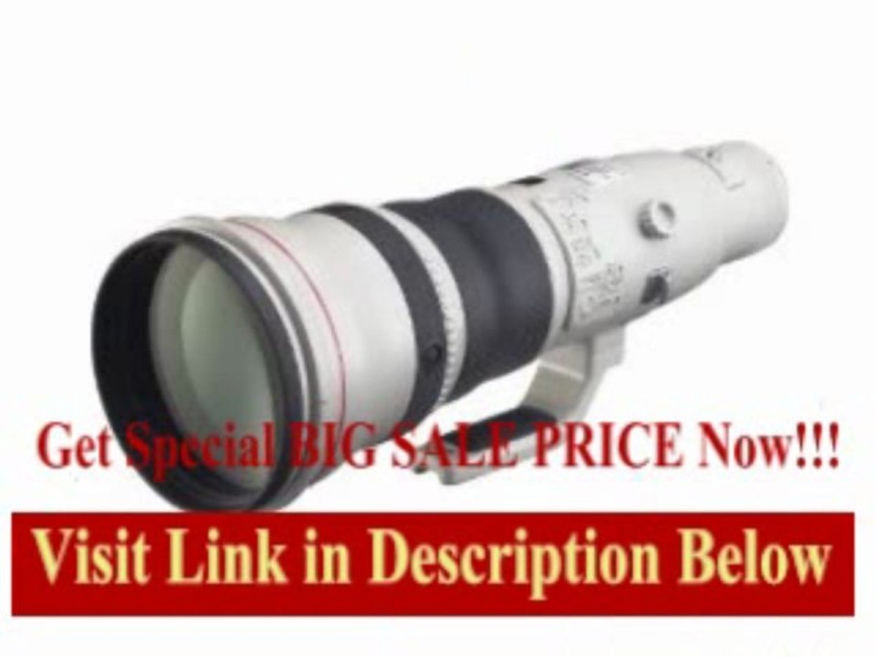 [REVIEW] Canon EF 800mm f/5.6L IS USM Super Telephoto Lens for Canon Digital SLR Cameras