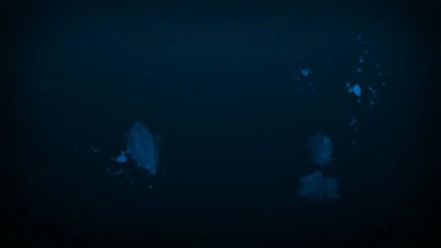 Plastic Brochure Holders