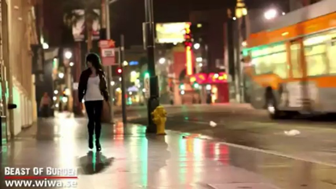 Beast of burden - Wiwa