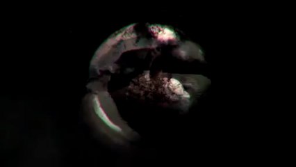Pulse Intro