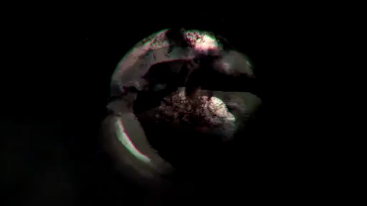Pulse Intro
