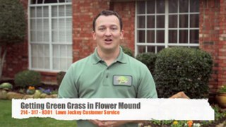 Flower Mound Green Grass Lawn Diseases - Lawn Jockey