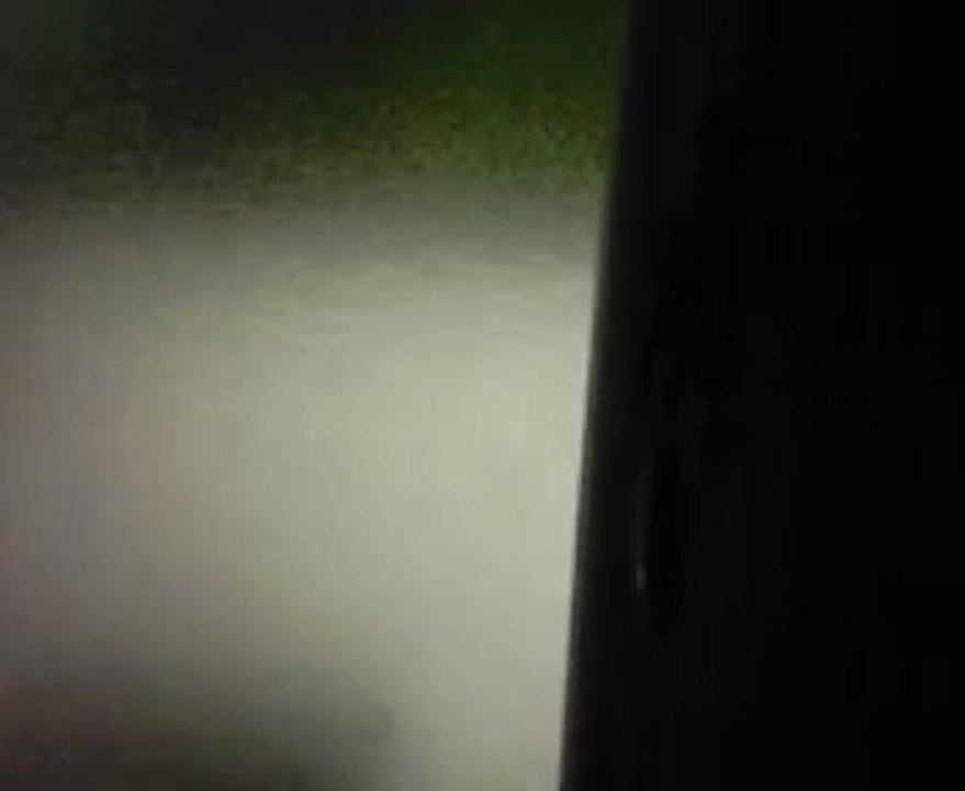 mon chat s'appelle Mimine