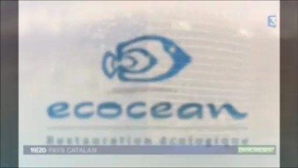 JT France 3 Pays Catalan Projet NAPPEX Edition 190313