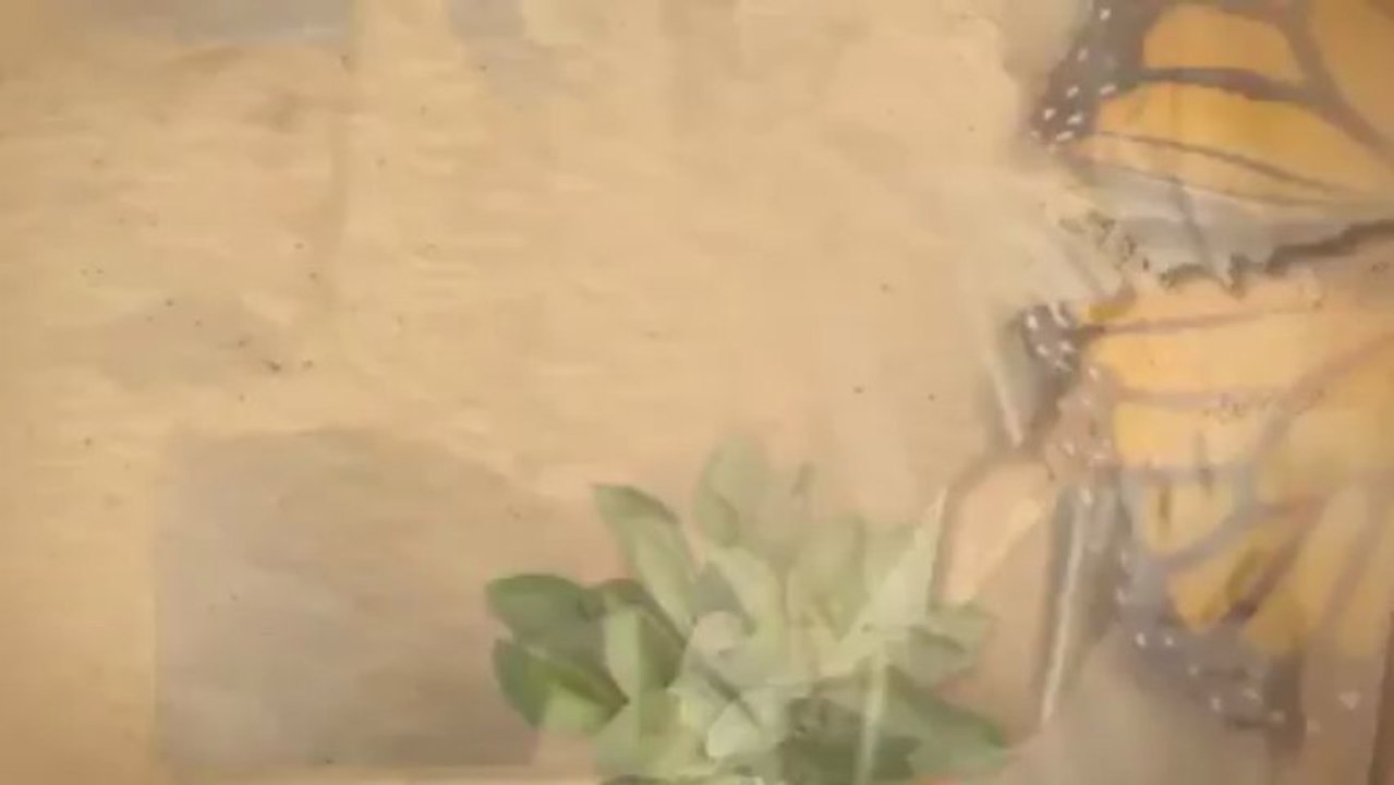 San Diego Electrical Repair Specialists (619)-569-1696