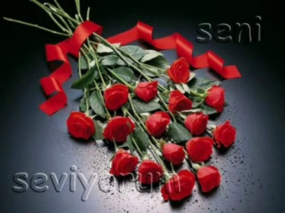 Ercan Demirel Ben dün gece rüyamda seni gördüm Dailymotion Video