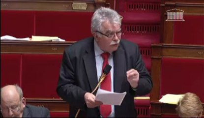 ANI / projet de loi de "sécurisation de l'emploi" : intervention sur l'article 1