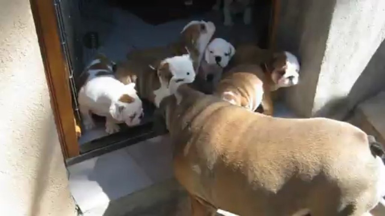 Les bébés de Fancy le 03 avril 2013