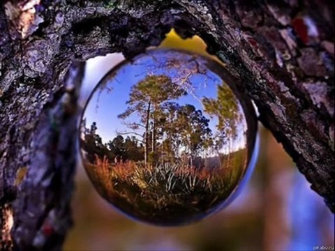 Cem Karaca - Namus Belası