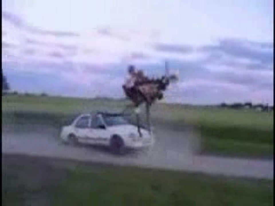 Canapemobile