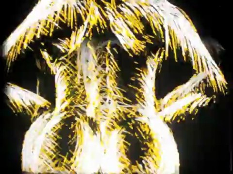 Servais partition sonore